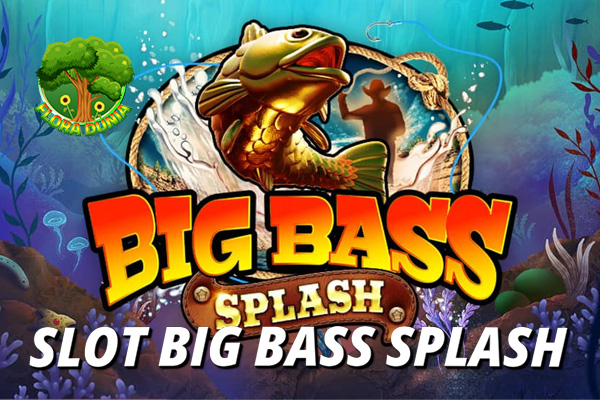 Big Bass Splash