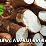 Ubi Kayu