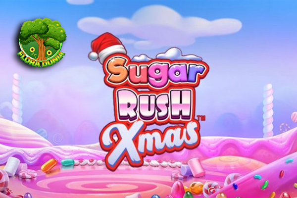 Kado Natal Terindah: Kemenangan Besar di Slot Sugar Rush Xmas