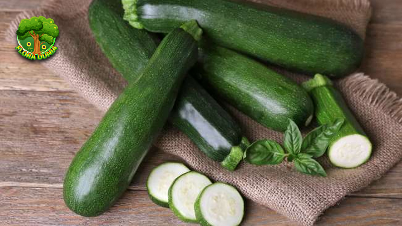 Dari Sayur ke Buah, Zukini Jadi Pilihan Segar di Setiap Hidangan!