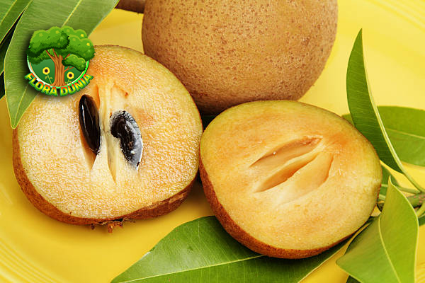 Sapodilla: Buah Lezat yang Penuh Keajaiban bagi Kesehatan!
