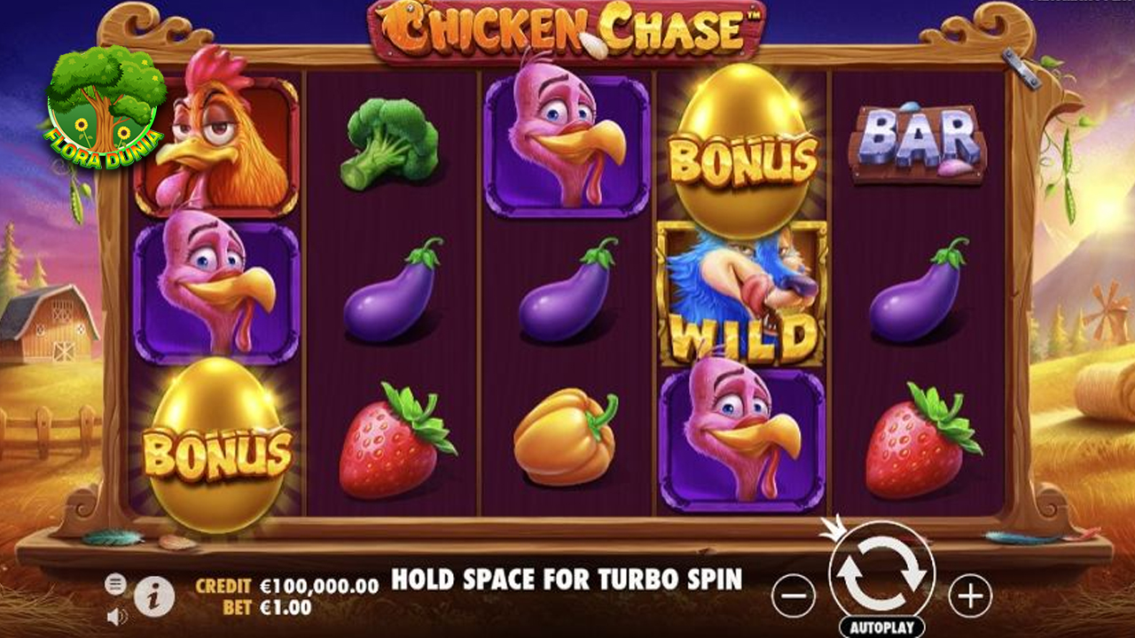 Kejutan Menanti di Slot Gacor Chicken Chase Maxwin Hari Ini
