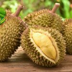 Durian: Si Raja Bau yang Bikin Nagih Sekaligus Benci!