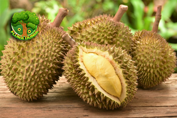Durian: Si Raja Bau yang Bikin Nagih Sekaligus Benci!