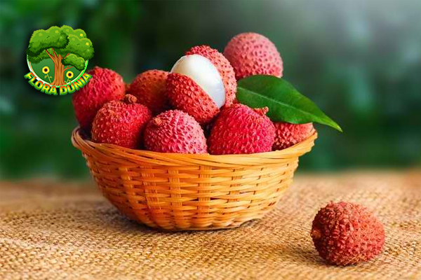 Rahasia Segar Buah Leci Manisnya Bikin Susah Move On!