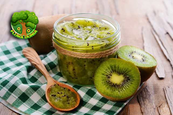 Mengenal Kiwi Si Buah Eksotis dengan Segudang Manfaat!