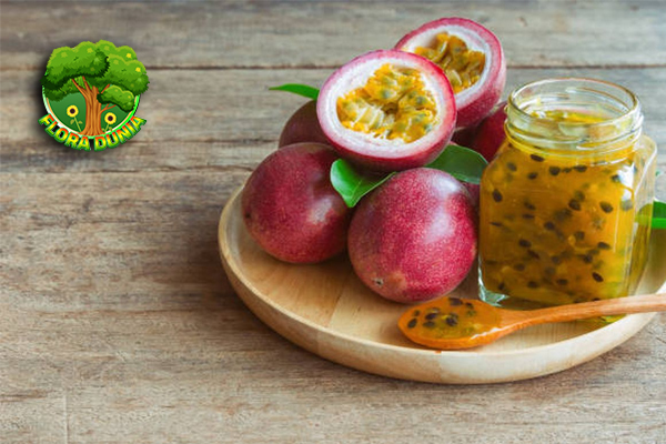 Markisa Si Asam Manis yang Diam-Diam Kaya Manfaat!