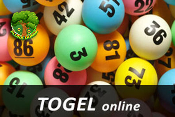 Review Situs Togel Online Kelebihan & Kekurangan Utama!
