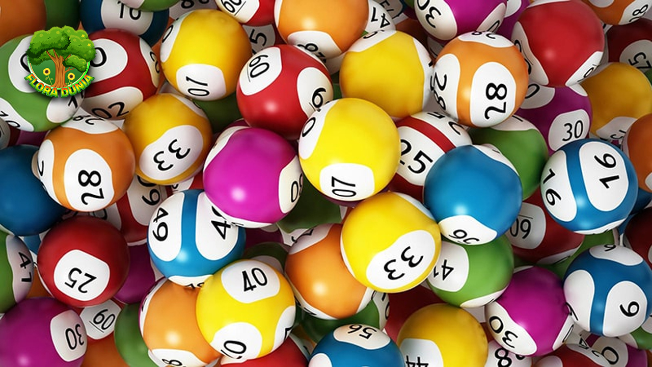 Review Situs Togel Online Kelebihan & Kekurangan Utama!