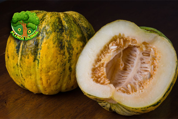 Kenalan dengan Blewah, Buah Segar Favorit Musim Panas!