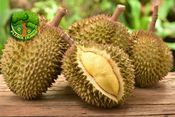 Durian Buah Eksotis yang Bikin Pecinta Makin Gila Rasa!