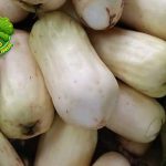Jambu Susu Buah Jadul yang Bikin Lidah Auto Nostalgia!