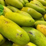 Mangga Golek Si Lincah dari Kebun yang Selalu Dicari!