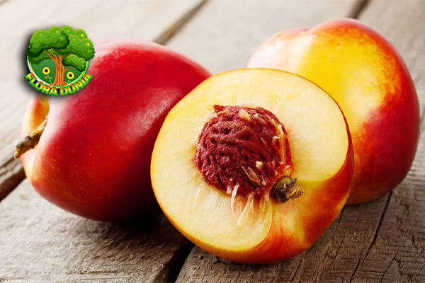 Nektarin Buah Cantik dengan Cita Rasa yang Beda Banget!