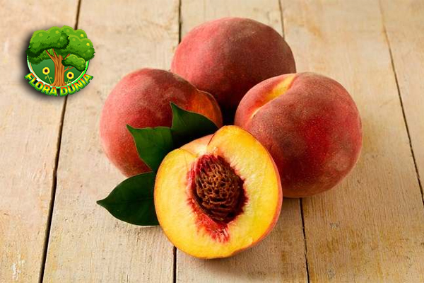 Buah Peach Si Lembut Manis dengan Segudang Kejutan Rasa!