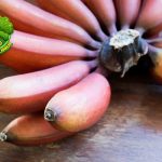 Pisang Merah Si Buah Langka dengan Rasa Tak Biasa!