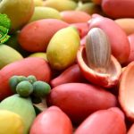 Buah Belinjo Rasa Khas Indonesia yang Tak Lekang Waktu!