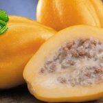 Kenalan dengan Carica, Si Buah Unik dari Pegunungan!