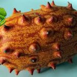 Melon Kiwano Buah Eksotis dengan 3 Keunggulan Menarik
