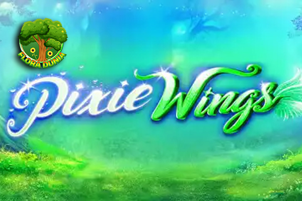 Pixie Wings Slot Online 8 Hal Autentik di Baliknya