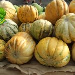 7 Manfaat Buah Blewah yang Bikin Segar dan Sehat