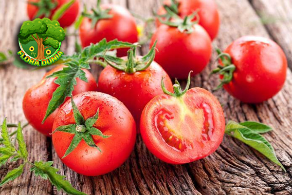 Keajaiban Tomat Lezat dan 5 Menyehatkan