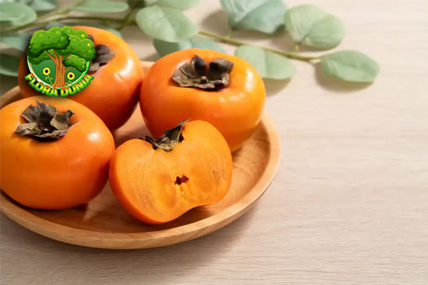 Kesemek 6 Kejutan dari Buah Berbedak yang Bikin Penasaran