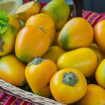 Buah Cocona dan 4 Keunikan Super Bikin Penasaranv