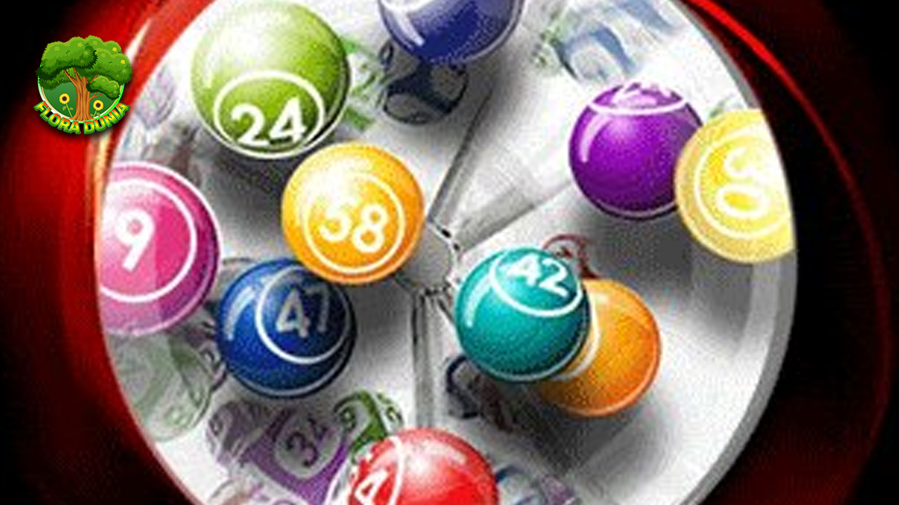 Terjun Angka Togel Online Favorit di Bulan Juli 8 atau 9?