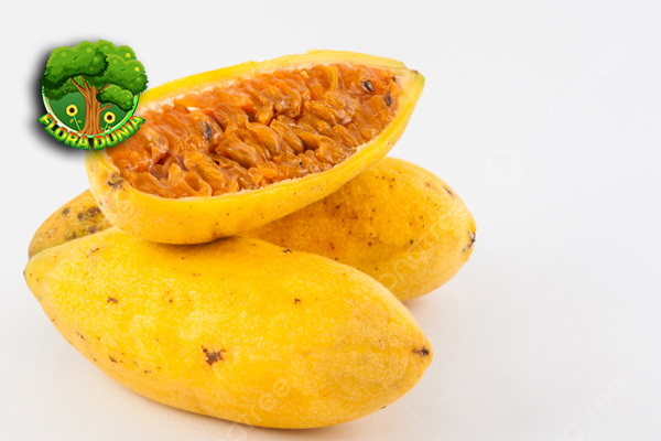 Buah Curuba Eksotisme 10 Rasa yang Jarang Ditemukan