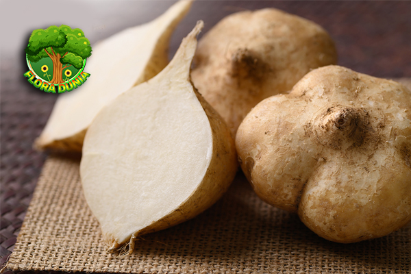 Bengkuang Buah Tropis yang Kaya 8 Nutrisi!