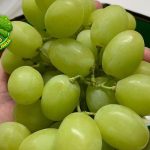 Anggur Hijau 3 Buah Kecil dengan Nutrisi Besar