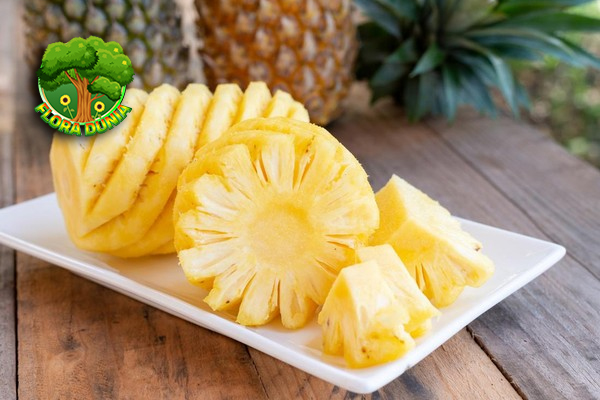 Buah Nanas 6 Khasiat yang Bikin Tubuh Sehat