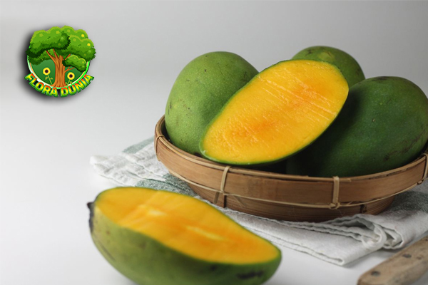 Mangga Harum Manis 12 Menjanjikan Buah Tropis 7 Mangga Harum Manis 12 Menjanjikan Buah Tropis