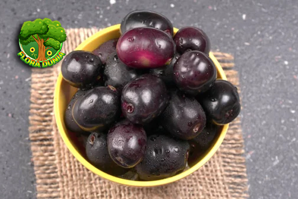 Buah Jambul 2 Khasiat Sehat yang Jarang Diketahui