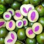 Gandaria Buah2 Tropis dalam Rasa Manis Asam