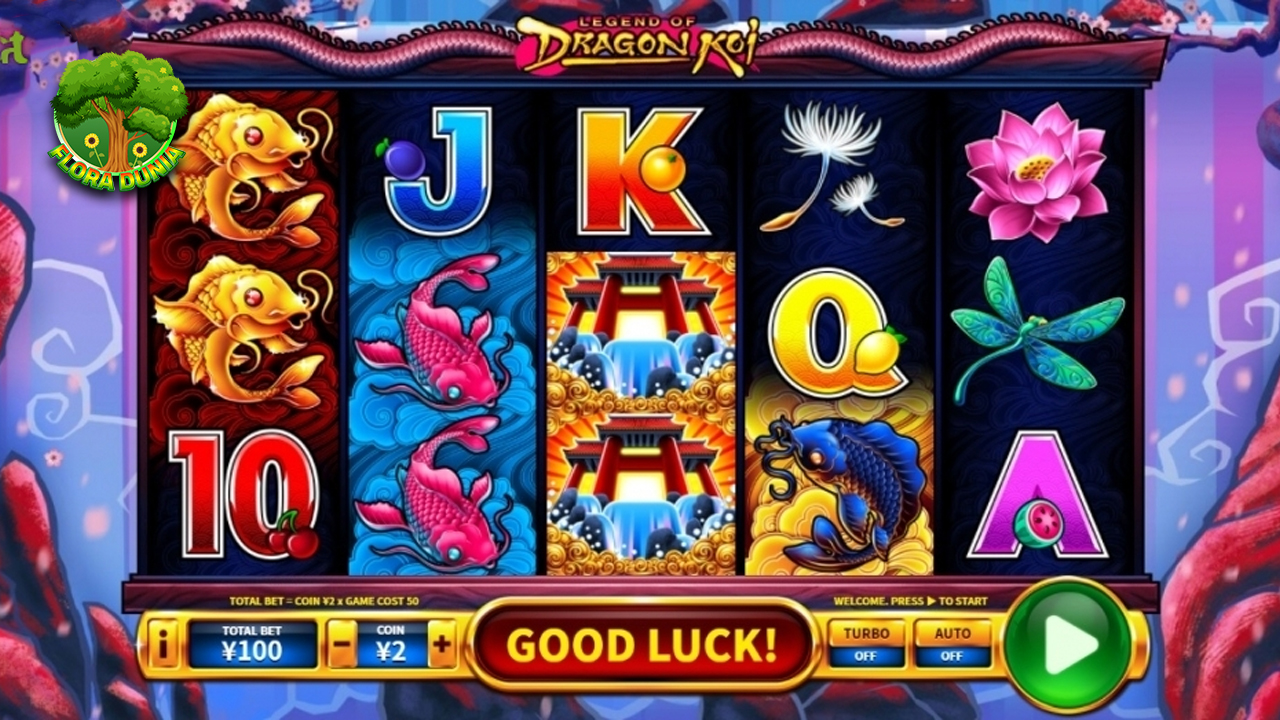 Misteri Link Rtp8000 Dragon Koi Terkuak Uang Ajaib