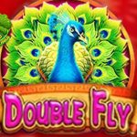 Double Fly Sukses dengan Daftar Ruby8000