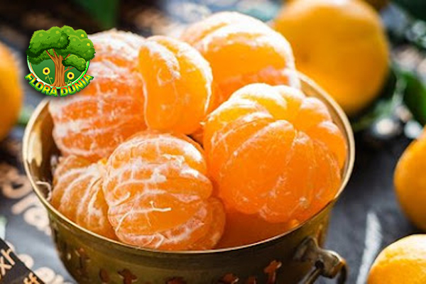 Jeruk Clementine Manis Bebas Biji Kaya 8 Manfaat
