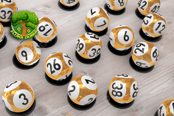 Jagoan Togel Online Dari 0 Jadi Milyuner Dadakan