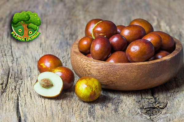 Buah Bidara Si Hijau2 Ajaib dari Asia Selatan