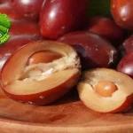 Sawo Kecik Buah 6 Tradisional Tetap Berkelas