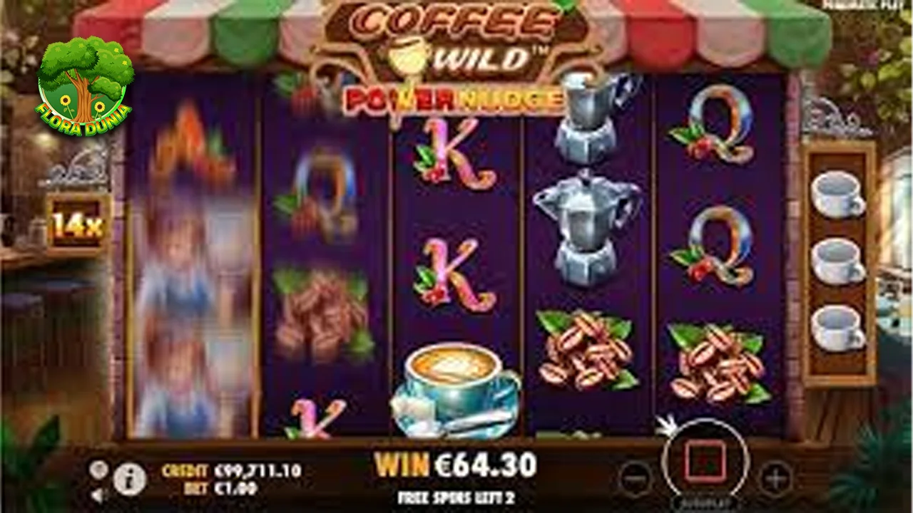 Coffee Wild Perpaduan 23 Kopi dan Alam Autentik 2 Coffee Wild Perpaduan 23 Kopi dan Alam Autentik