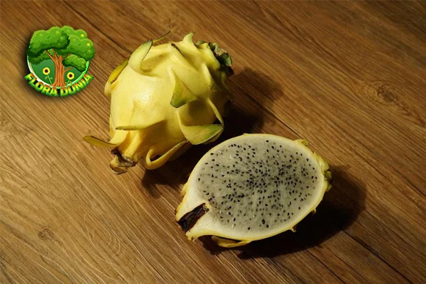 Buah Naga Kuning 10 Cahaya Tropis di Piringmu