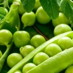 Kacang Polong 1 Makanan Super Sering Kita Abaikan?