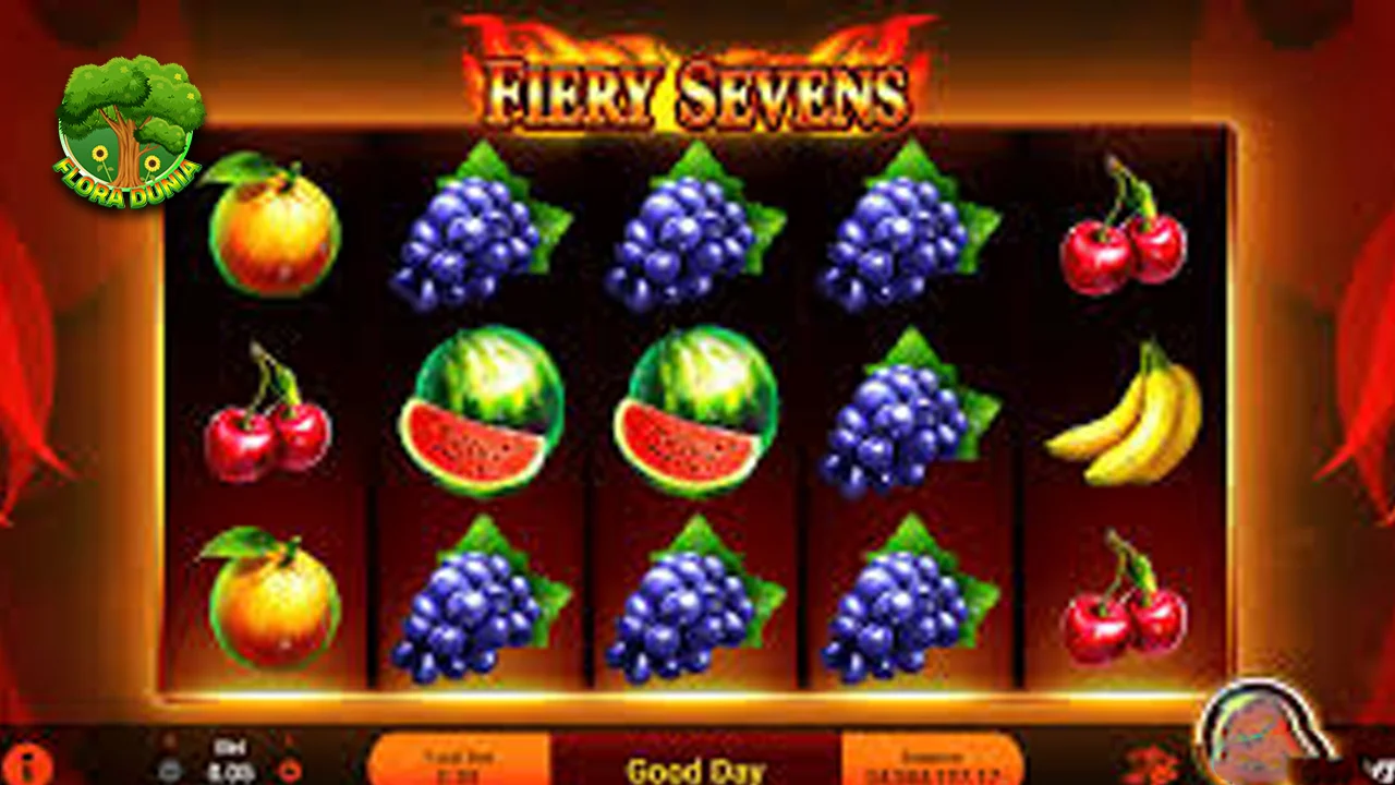 Fiery Sevens Butuh 11 Kesabaran Sebelum Masuk