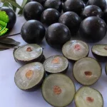 Jabotikaba Buah Eksotis dengan 4 Rasa Manis Unik