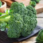 Brokoli Enak, 11 Sehat, dan Mudah Diolah Jadi Apa Saja!