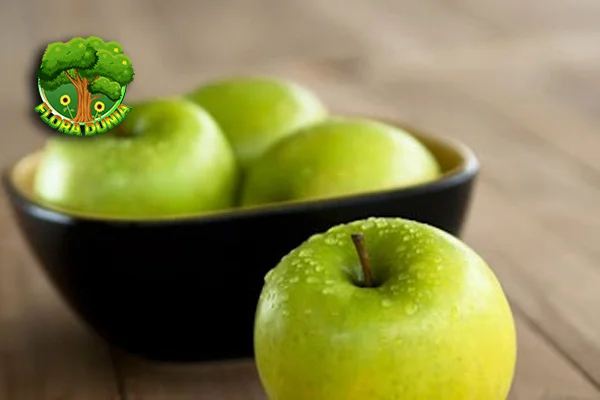 Apel Hijau Bukan Sekadar Buah, Ini 5 Sumber Energi Alami!