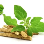 Ashwagandha Obati 2 Insomnia & Dapatkan Tidur Berkualitas!